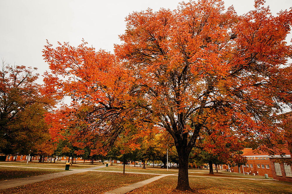 Changing Of The Semesters And Seasons At ATU Arkansas Tech University