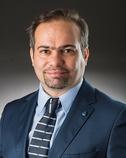 Dr. Seyed Ehsan Hosseini: Leading Research Scientist in Sustainable Energy and Mechanical Engineering